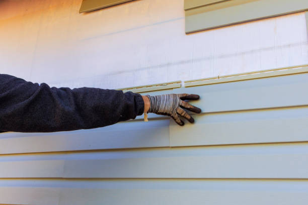 Custom Trim and Detailing for Siding in Apollo Beach, FL